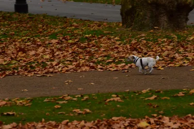 DSC_0672 (Large).JPG